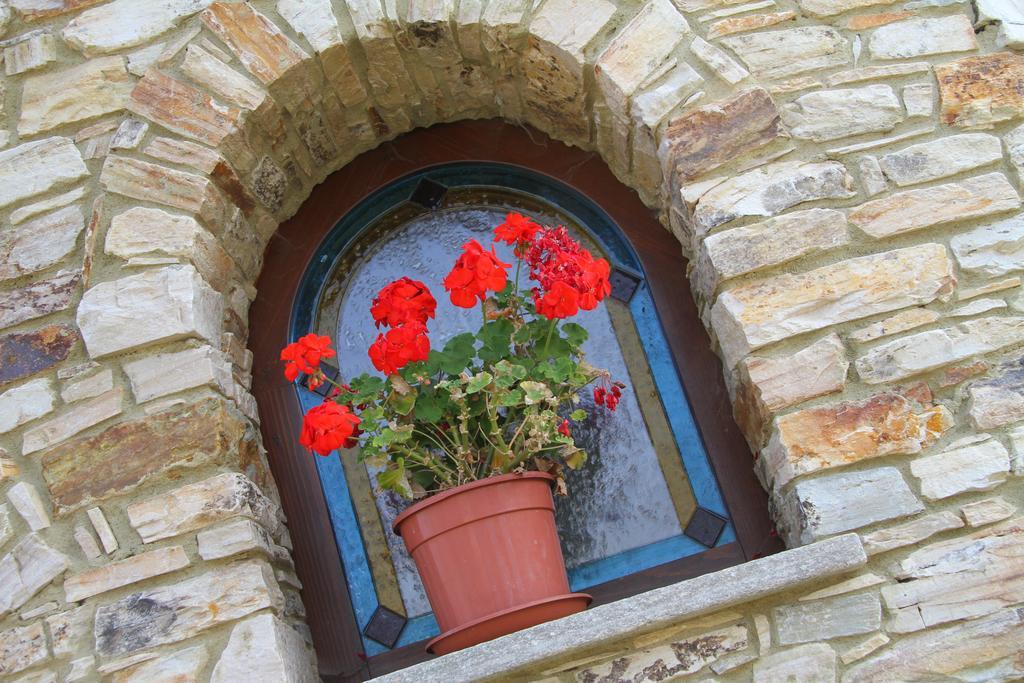 Hotel Ristorante Belsito Borgo San Dalmazzo Zewnętrze zdjęcie